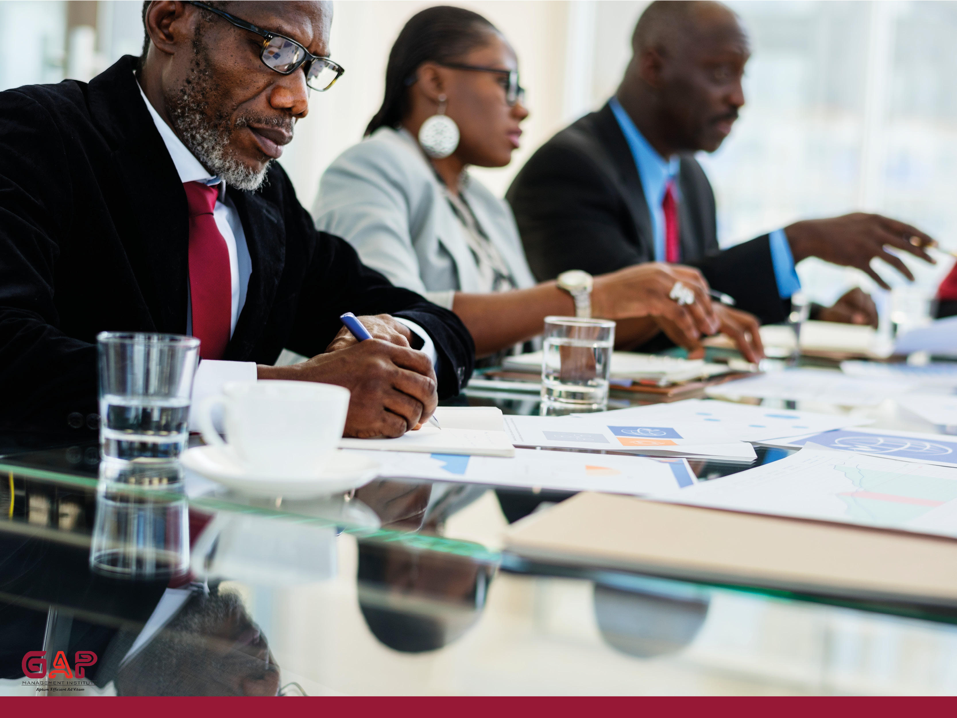 Public Investment Dynamics and Change Management