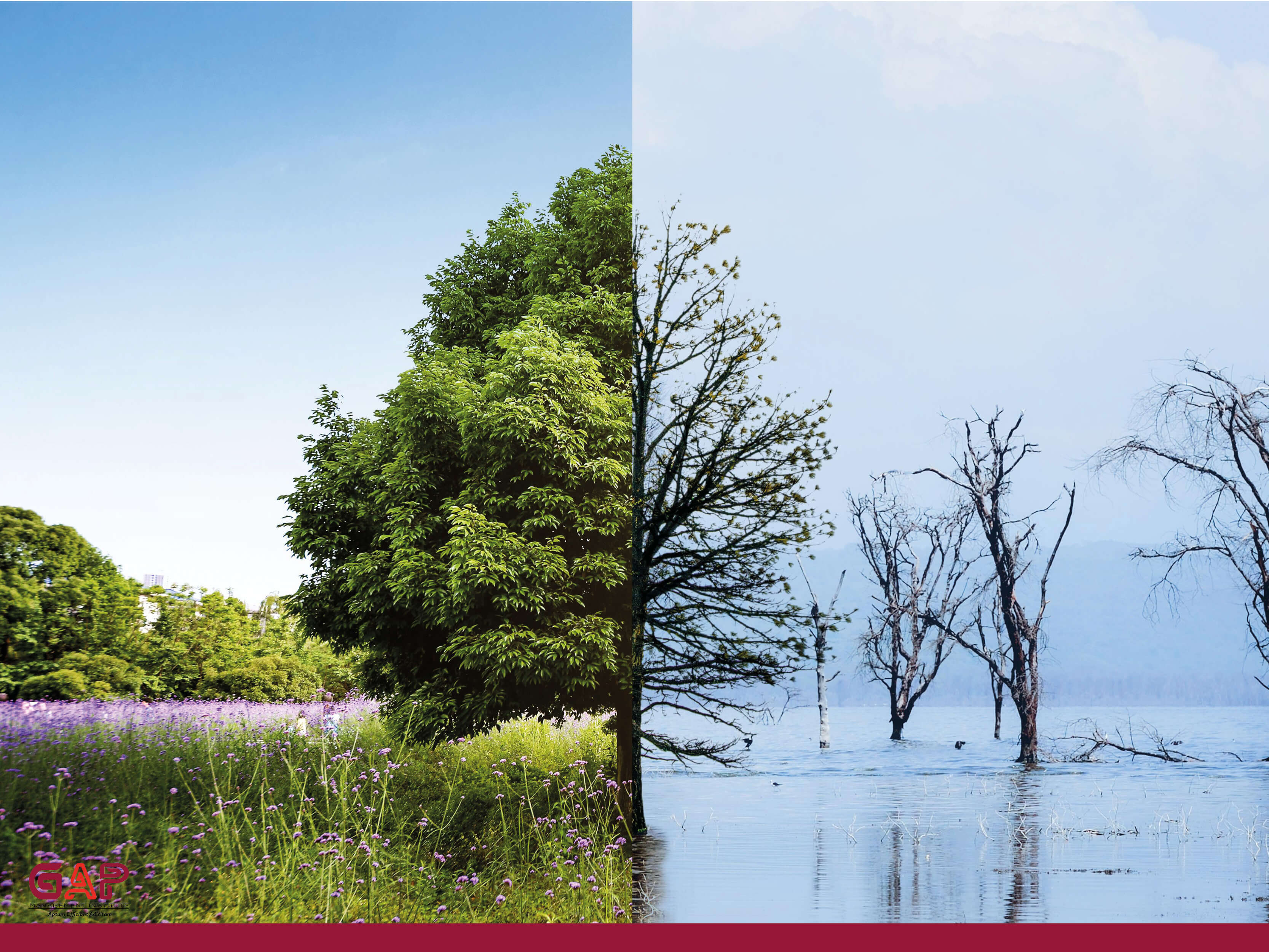 Environmental Impact Assessment & Land Reclamation