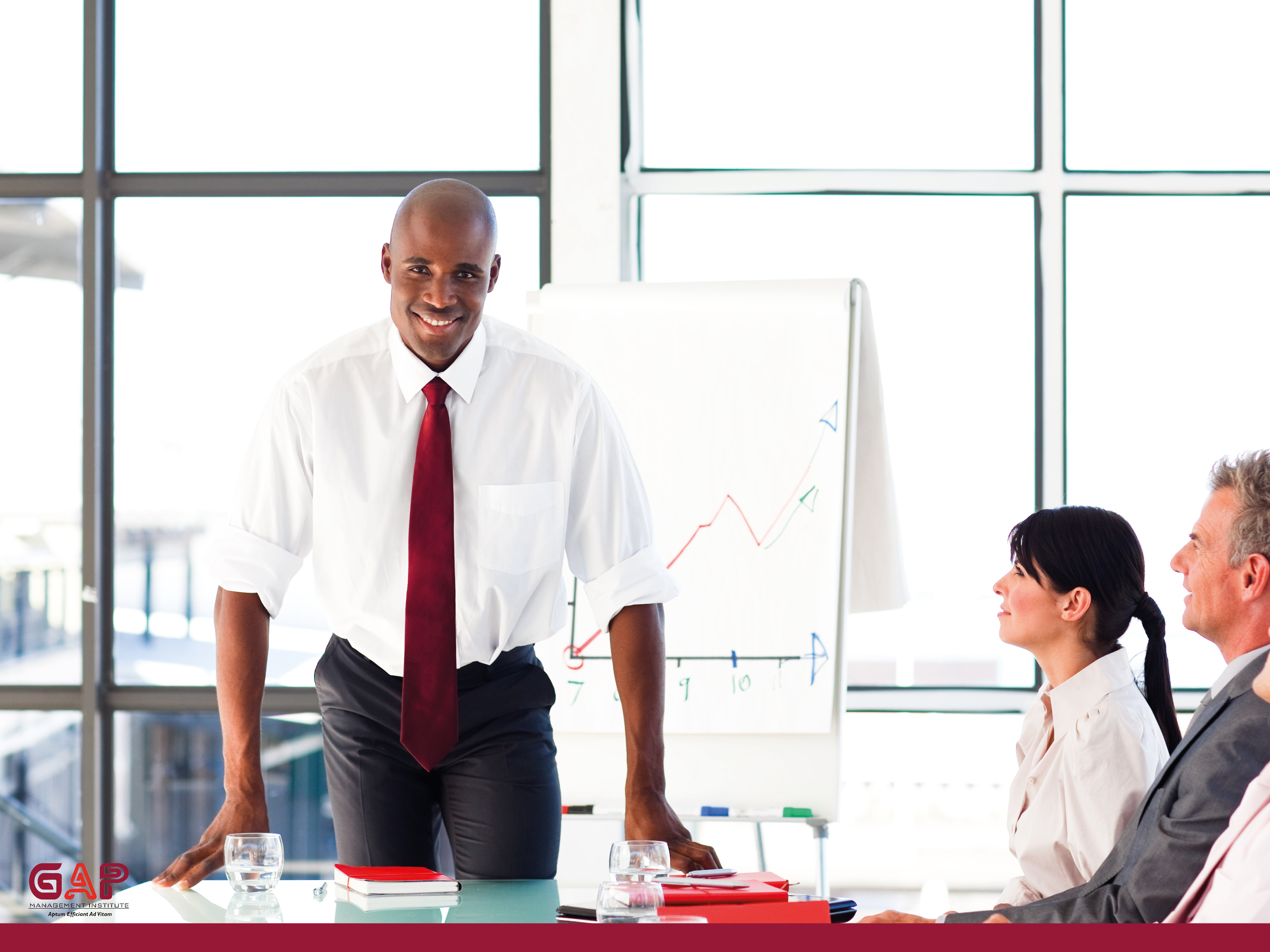 Project Leadership Skills , Management and Communication